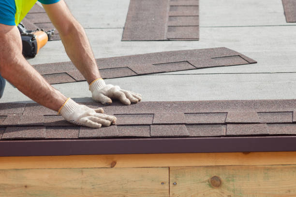 Best Roof Moss and Algae Removal  in St Peter, MN